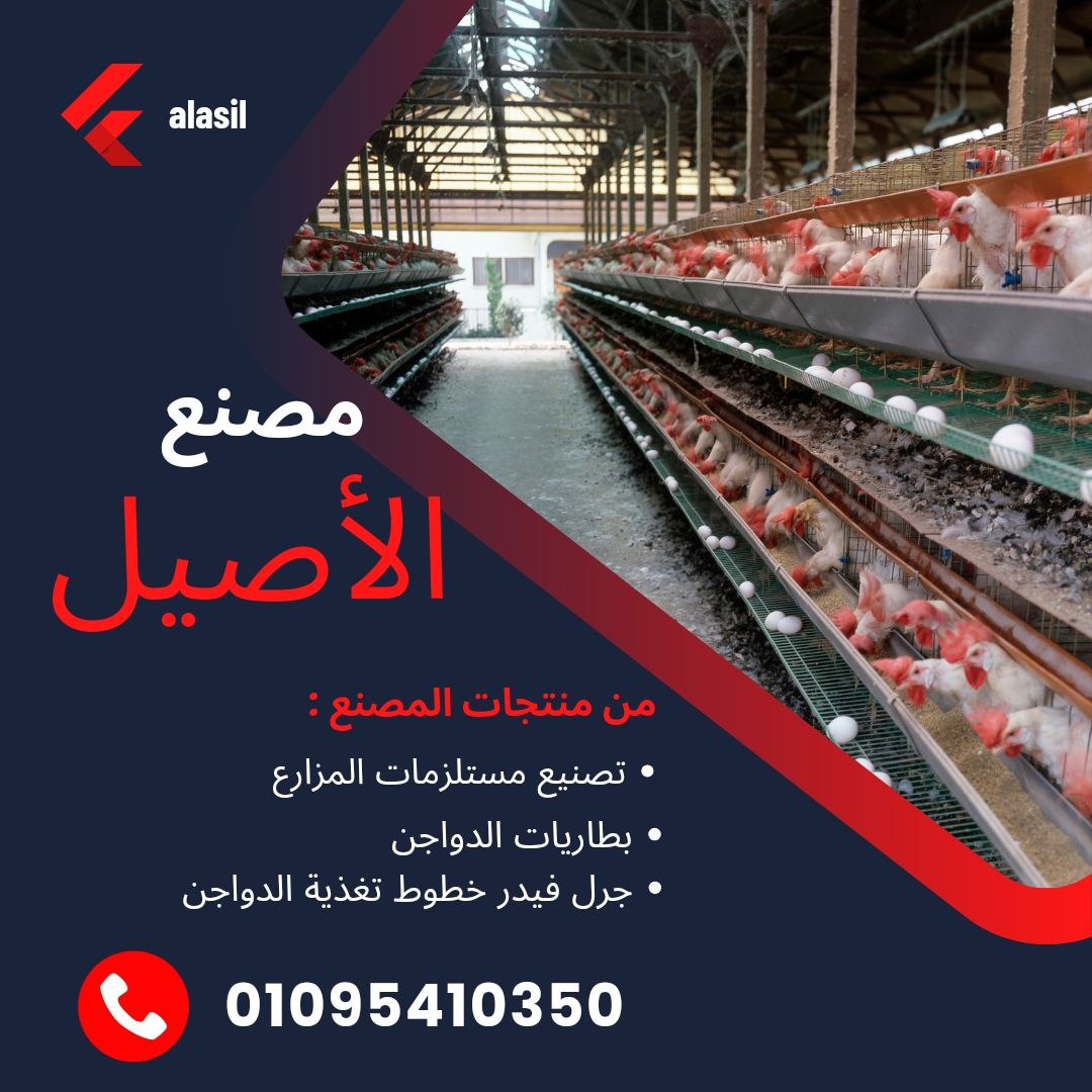  مستلزمات مزارع الدواجن 